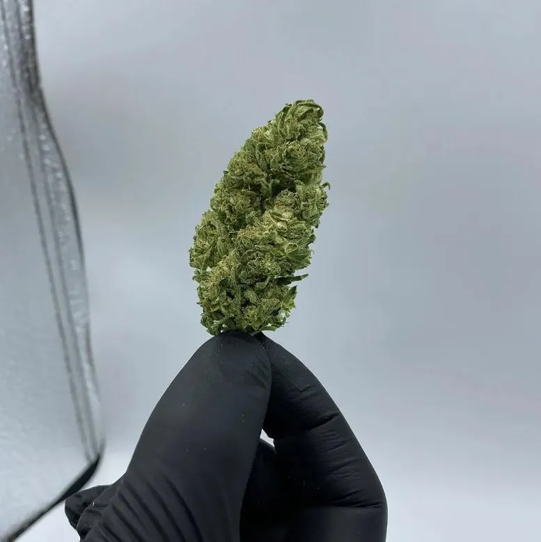 cannabis spot cbg žiedai