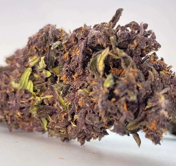 cannabis spot purple haze žiedai